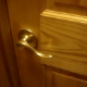 A girl is shitting and carries on a conversation through the closed door. She describes the sulfur smell of her shit and has trouble getting it all out. When she opens the door, she is revealed to be rather cute. No pooping action is seen or heard.